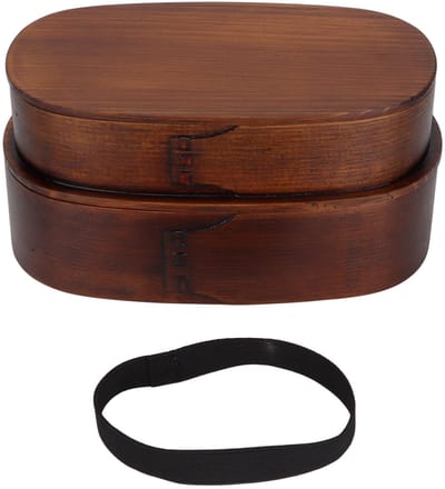 Dailygoods- Bento Box - Dubbele Laag - Voedselopslag - Antislip - Makkelijk Schoonmaken - Voor Volwassenen/Kinderen - Lunchbox