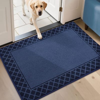 Famanu – Vuilvangmat voor binnen, 80 x 120 cm, wasbaar en antislip, voor entrees en gangen