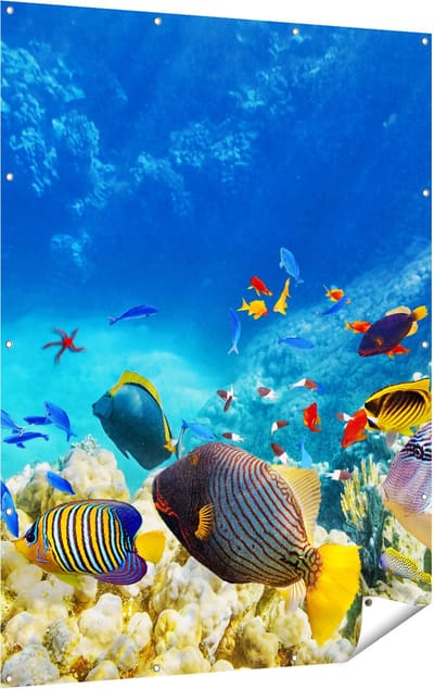 Gards Tuinposter Vissen in de Oceaan met Koralen - 120x160 cm - Tuindoek - Tuindecoratie - Wanddecoratie buiten - Tuinschilderij