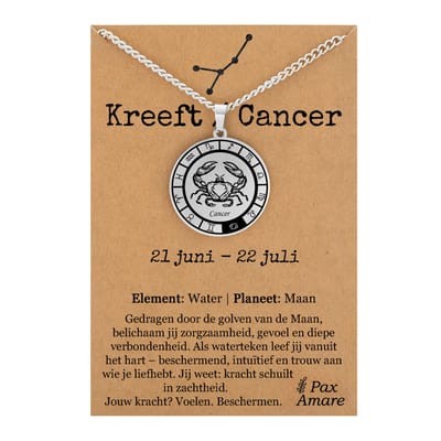 Kreeft / Cancer Sterrenbeeld Ketting op Cadeau Kaartje - Zilverkleurig - RVS - Spiritueel Cadeau - 60cm - Pax Amare
