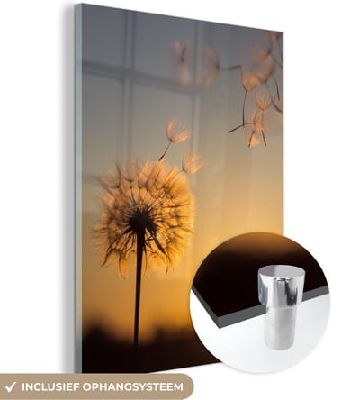 MuchoWow® Glasschilderij 30x40 cm - Schilderij acrylglas - Paardenbloem - Zon - Zonsondergang - Foto op glas - Schilderijen