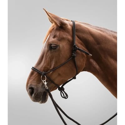 Geknoopt Halster Met Teugels - Bijna Uitverkocht! | Pony