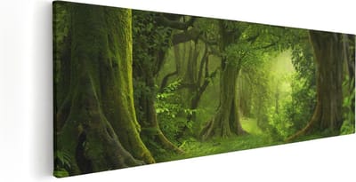 Artaza Canvas Schilderij Jungle - 60x20 cm - Wanddecoratie Bos - Muurdecoratie Woonkamer - Kamer Accessoires Natuur