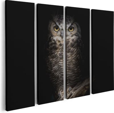 Artaza Canvas Schilderij Vierluik Uil Op Een Tak In De Nacht - 80x60 - Foto Op Canvas - Canvas Print