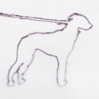 Portrait Of A Dog - Jonah Yano