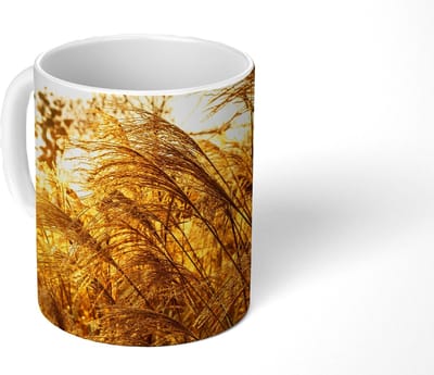Mok - Koffiemok - Pampasgras - Zon - Gras - Mokken - 350 ML - Beker - Koffiemokken - Theemok