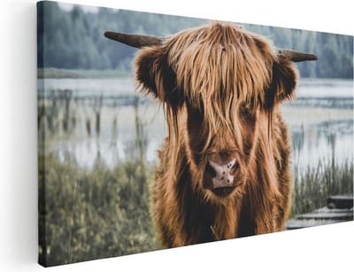 Artaza Canvas Schilderij Schotse Hooglander - 40x20 cm - Klein - Wanddecoratie Woonkamer - Muurdecoratie Dieren - Schilderijen Op Canvas