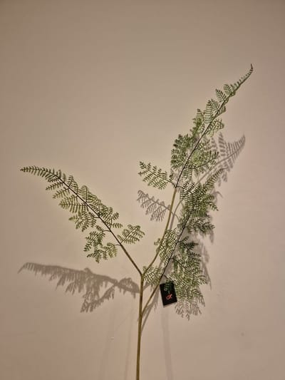 Zijde Bloem Asparagus - Groen - Kunst - 83 cm - Decoratie Bloemen