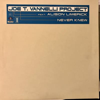 12 inch Plaat JOE T. VANNELLI PROJECT, ALISON LIM - Never Knew DB070 Dream Beat 1997 Italië Dance & Electronica Gebruikt beige