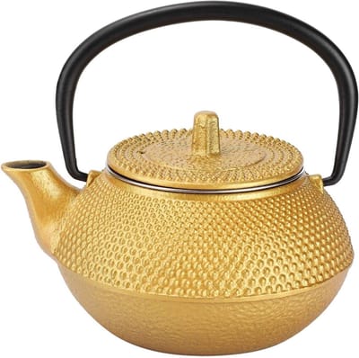 Dailygoods- Theepot Gietijzer 300 ml - Theepot met Filter - Theepot voor Losse Thee - Theepot met Deksel - Theepot voor Woninginrichting - Veilig voor Kookplaat - Theepotje