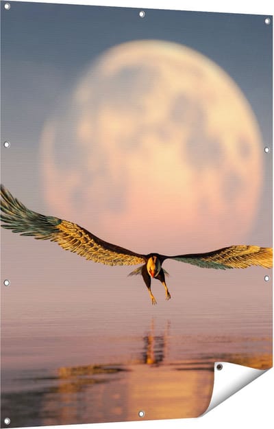Gards Tuinposter Adelaar boven het Water bij de Maan - 90x120 cm - Tuindoek - Tuindecoratie - Wanddecoratie buiten - Tuinschilderij