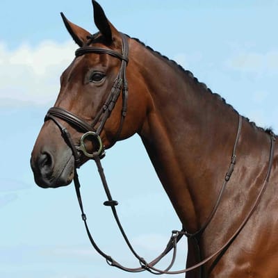 Platte martingaal voor paarden Weatherbeeta Collegiate Syntovia+