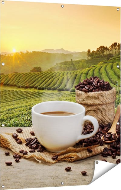 Gards Tuinposter Kopje Koffie op een Plantage Achtergrond6 - 90x120 cm - Tuindoek - Tuindecoratie - Wanddecoratie buiten - Tuinschilderij