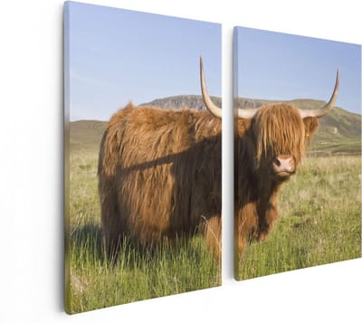Artaza Canvas Schilderij Tweeluik Schotse Hooglander Koe - Kleur - 80x60 - Foto Op Canvas - Canvas Print