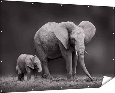 Gards Tuinposter Olifant Moeder en Zoon - Zwart Wit - 180x120 cm - Tuindoek - Tuindecoratie - Wanddecoratie buiten - Tuinschilderij