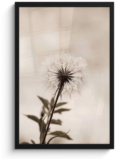 Poster in lijst - Fotolijst 40x60 cm - Posters - Paardenbloem - Minimalistisch - Wit - Posterlijst zwart - Decoratie - Wanddecoratie woonkamer - Muurdecoratie slaapkamer