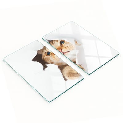 Geharde multifunctionele decoratieve glazen borden met de afbeelding van een kat in een gat, 2x30x52 cm