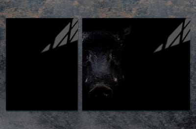 TMK ArtDeko - Snijplank - 100x52 cm - Dierenmotief - Geharda Glazen Bescherming - Antibacterieel