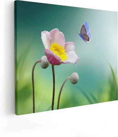 Artaza Canvas Schilderij Vlinder Op Bloem - 50x40 cm - Wanddecoratie Bloemen - Schilderijen Op Canvas Voorjaar