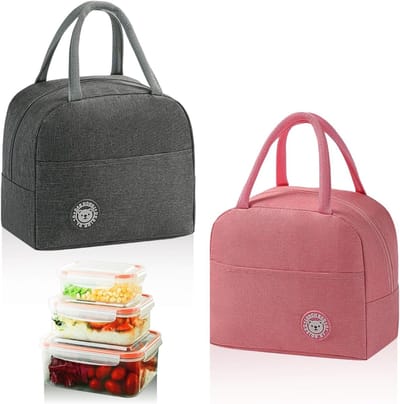 Dailygoods- Lunchtas Geïsoleerd - Opvouwbare Lunchbox - Koeltas - Draagbare Lunchbox - 23 x 21 x 13 cm - Voor Werk/Picknick