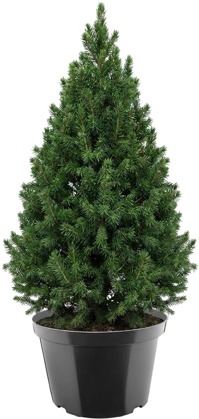 Garronda Ronde kunststof bloempot met drainagegaten voor tuin (Zwart, Ø45,5 x 30 cm (35L)) GD-KW-RL