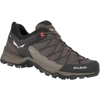 Salewa Mtn Trainer Lite Goretex Wandelschoenen Bruin,Zwart EU 40 Man