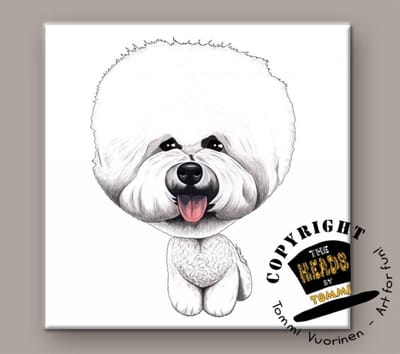 Tegel Hond Bichon Frisé