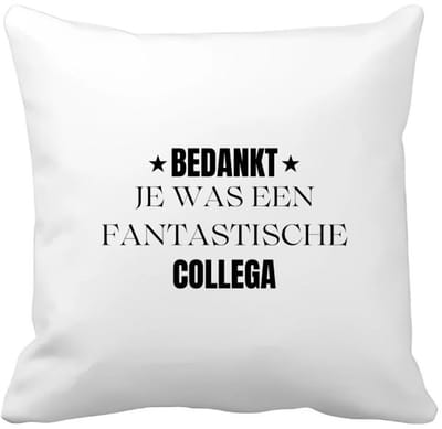 Akyol - bedankt je was een fantastische collega Kussen hoes - Werknemer - collega - bedankje - cadeautje voor collega - kado - afscheids cadeau - 40 bij 40 cm