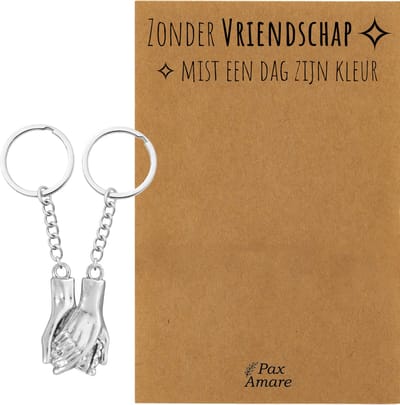 BFF Sleutelhanger voor 2 'Zonder Vriendschap mist een dag zijn kleur' - Handjes Vasthouden - Sleutelhanger set op Cadeau Kaartje - Zilverkleurig - Vriendschap Symbool - Pax Amare