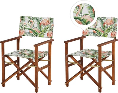 Opklapbare Tuinstoelen - Houten stoelen - Zomerse ontspanning - Verstelbare rugleuning - 50x50x91 cm - Groen
