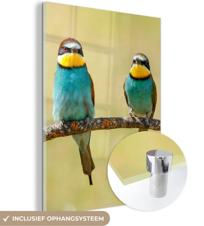 MuchoWow® Glasschilderij 30x40 cm - Schilderij acrylglas - Vogels - Dieren - Bijeneter - Foto op glas - Schilderijen