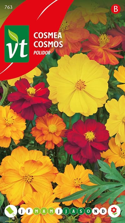 Cosmea 'Polidor' Zaden - Kleurrijke bloemenmix voor een zomerse tuin vol kleur