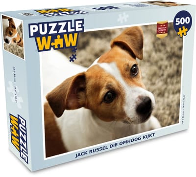 Puzzel Jack Russel die omhoog kijkt - Legpuzzel - Puzzel 500 stukjes