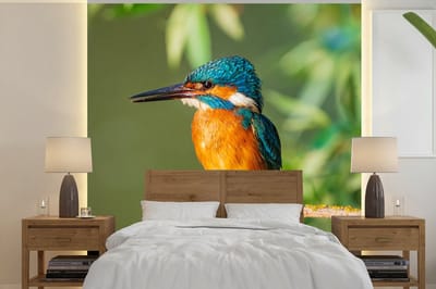 Behang - Fotobehang Vogel - IJsvogel - Tak - Bladeren - Mos - Breedte 280 cm x hoogte 280 cm