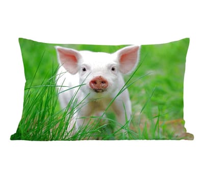 Sierkussens - Kussentjes Woonkamer - 50x30 cm - Varken - Dieren - Big