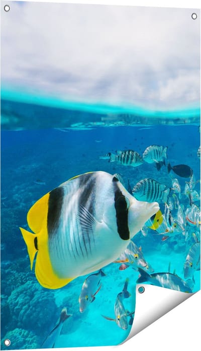 Gards Tuinposter Zwerm Gele Vissen in het Water - 60x90 cm - Tuindoek - Tuindecoratie - Wanddecoratie buiten - Tuinschilderij