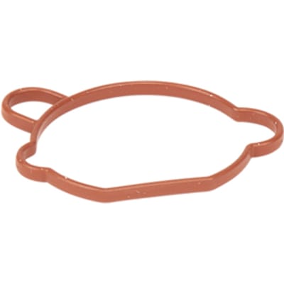 Gasket carburettor