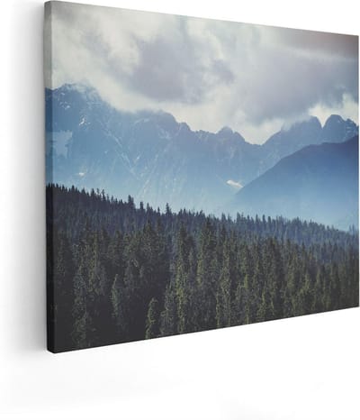 Artaza Canvas Schilderij Bos - 50x40 cm - Wanddecoratie Bergen - Muurdecoratie Landschap - Schilderijen Op Canvas