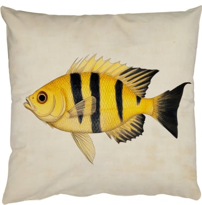 Sierkussens - Kussentjes Woonkamer - 50x50 cm - Geel - Vis - Strepen - Tropisch
