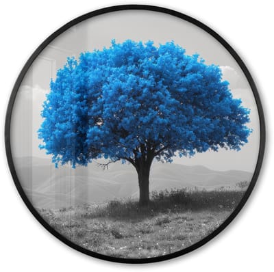 Poster in lijst Rond - Fotolijst 60x60 cm - Posters - Boom - Natuur - Blauw - Zwart wit - Ronde posterlijst zwart - Decoratie - Wanddecoratie woonkamer - Muurdecoratie slaapkamer