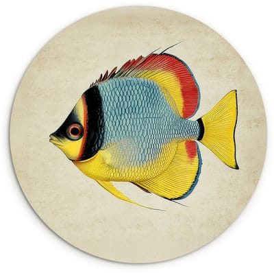 WallCircle® Wandcirkel 120x120 cm - Muurcirkel Kleurrijk - Vis - Schubben - Illustratie - Muurdecoratie woonkamer - Wanddecoratie slaapkamer - Kamer decoratie accessoires - Ronde schilderijen XXL