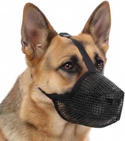 Honden Muilkorf - Veiligheidskorftje - Training en Reizen - Ademend Ontwerp - Verstelbaar - Zwart