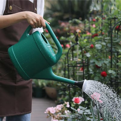 Bloemengieter 3 Liter - Tuingieter Waterkan - Planten Water Geven - Lange Uitloop Handvat