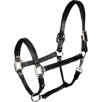 Gewatteerd lederen halster voor paarden Harry's Horse