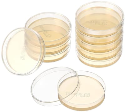 Pack van 10 Agarplaten voor Mycologie, Pre-Cast Petri Schalen, Laboratorium Analyse en Bloedmonsters, Ideaal voor Kinderen en Onderwijs