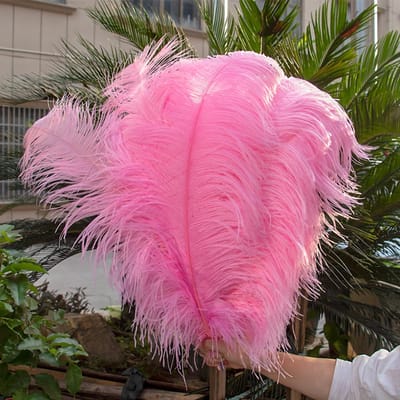 10 STUKS Rode Struisvogelveren Bulk 15-60CM Natuurlijke Veren Voor Knutselen Bruiloft Feest Tafeldecoraties Decoratie Carnaval Plumas 15-20CM 6-8INCH diep roze kleur