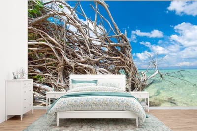 Behang - Fotobehang Strand - Takken - Tropisch - Zee - Breedte 350 cm x hoogte 260 cm
