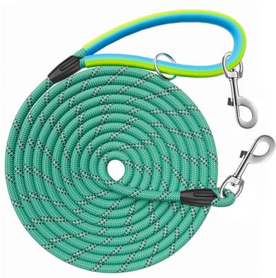 Dailygoods- Hondenriem 5 meter - Lange Hondenriem - Draaibare Haken - Reflecterende Draden - Zacht Rubber Handvat - Geschikt voor Kleine/Middelgrote/Grote Honden - Lange Hondenlijn