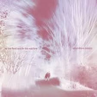 Labyrinthine Oceans - For The Flesh And For The Machine (CD)