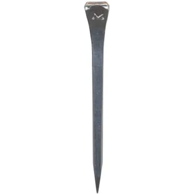 Clou fer à cheval Hispano Hipica Mondial Mx 65 (x250)